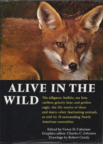 Stock image for Alive in the Wild for sale by Wonder Book