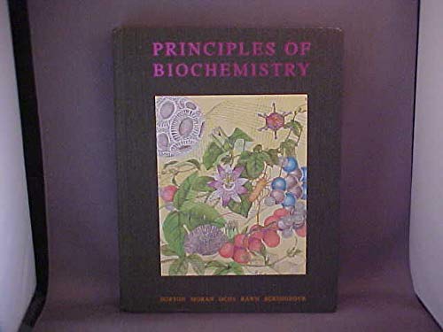 Beispielbild fr Principles of Biochemistry zum Verkauf von Top Notch Books