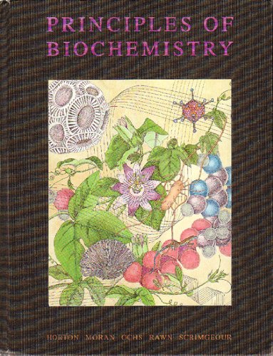 Imagen de archivo de Principles of Biochemistry a la venta por Top Notch Books