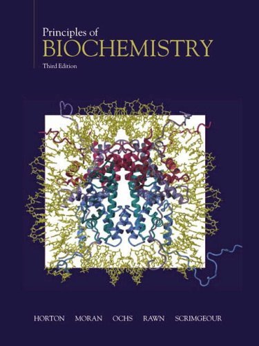 Principles of Biochemistry (International Edition) (9780130926432) by Horton, H. Robert; Moran, Laurence A.; Ochs, Raymond S.; Rawn, David J.; Scrimgeour, K. Gray