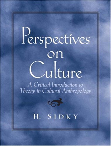 Perspectives on Culture: A Critical Introduction to Theory in Cultural Anthropology (9780130931344) by Sidky, Homayun