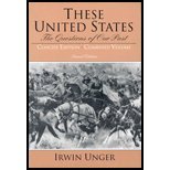 Stock image for These United States: The Questions of Our Past, Combined Concise Edition (2nd Edition) for sale by HPB-Red