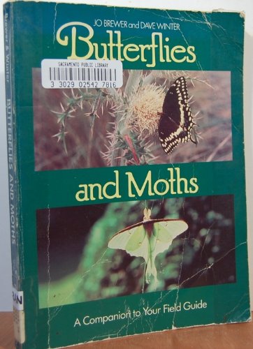 9780131088467: Butterflies and Moths: A Companion to Your Field Guide (Phalarope Books)