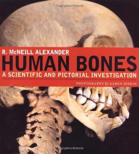 Beispielbild fr Human Bones : A Scientific and Pictorial Investigation zum Verkauf von Better World Books