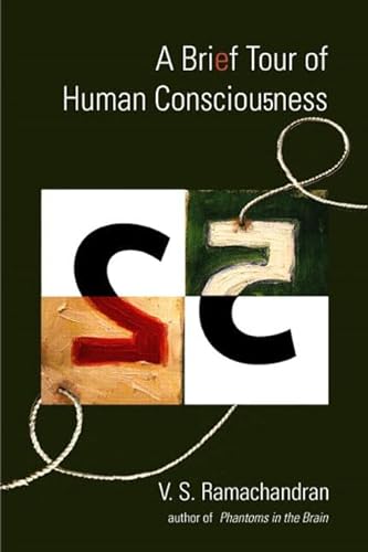 Stock image for A Brief Tour of Human Consciousness: From Impostor Poodles to Purple Numbers for sale by SecondSale