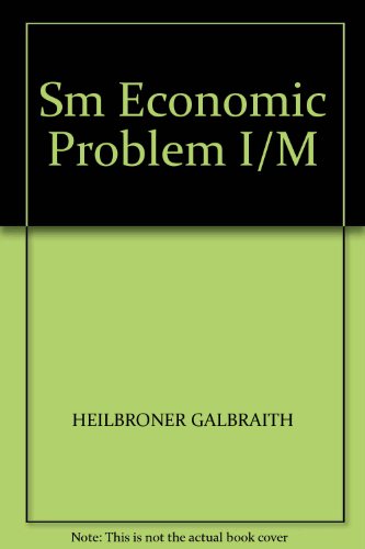 Imagen de archivo de The Economic Problem a la venta por Better World Books