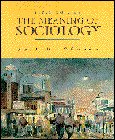 Beispielbild fr The Meaning of Sociology zum Verkauf von Books From California