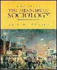 9780132310857: The Meaning of Sociology