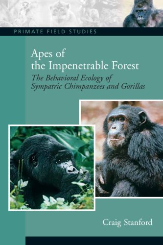 Beispielbild fr Apes of the Impenetrable Forest (The Behavioral Ecology of Sympatiric Chimpanzees and Gorillas) zum Verkauf von SecondSale