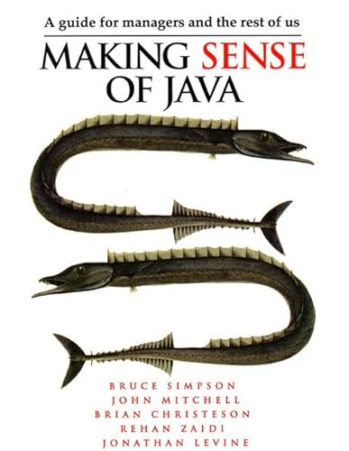 Beispielbild fr Making Sense of Java: A Guide for Managers and the Rest of Us zum Verkauf von Revaluation Books