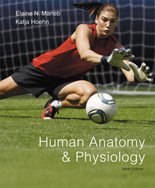 Stock image for Human Anatomy & Physiology 9th (School Edition) for sale by HPB-Red