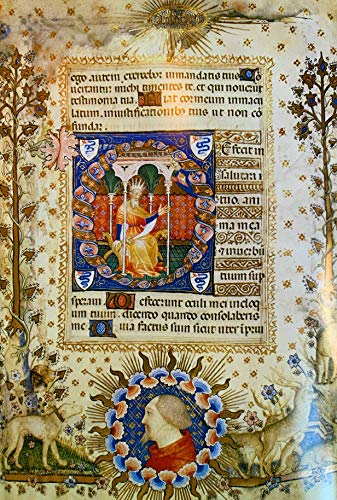 Stock image for History of Italian Renaissance Art for sale by Better World Books