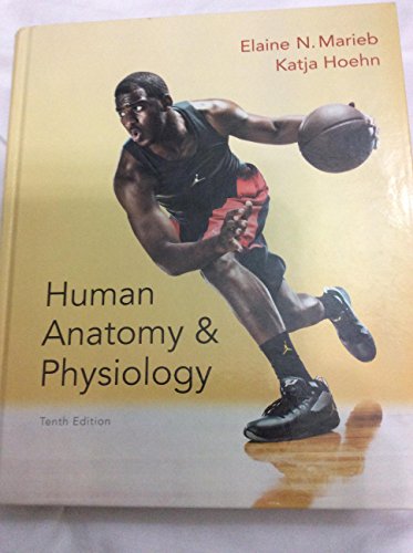 Stock image for Human Anatomy & Physiology for sale by HPB-Red