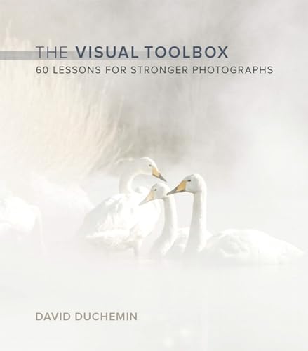 Stock image for The Visual Toolbox: 60 Lessons for Stronger Photographs (Voices That Matter) for sale by HPB-Red