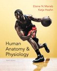 9780134308333: Human Anatomy & Physiology + Get Ready for A&P