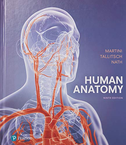 Stock image for Human Anatomy for sale by BooksRun