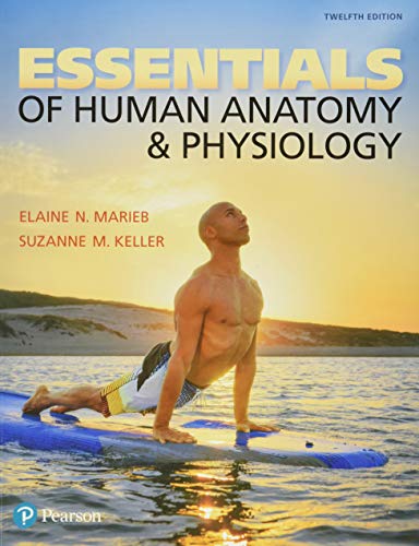 Beispielbild fr Essentials of Human Anatomy & Physiology (12th Edition) zum Verkauf von Wrigley Books