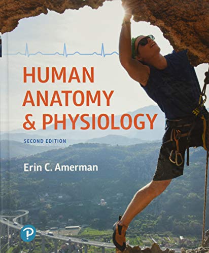 Imagen de archivo de Human Anatomy & Physiology (Masteringa&p) a la venta por BooksRun
