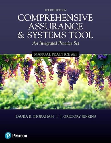 Stock image for Comprehensive Assurance & Systems Tool (CAST) -- Manual Practice Set for sale by Bulrushed Books