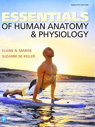 Beispielbild fr Essentials of Human Anatomy & Physiology + Modified Masteringa&p With Pearson Etext Access Card zum Verkauf von Revaluation Books