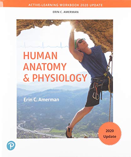 Imagen de archivo de Active-Learning Workbook for Human Anatomy & Physiology, Updated Edition a la venta por BooksRun