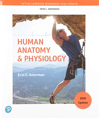 Stock image for Active-Learning Workbook for Human Anatomy & Physiology, Updated Edition for sale by BooksRun