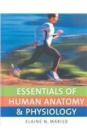 Imagen de archivo de Essentials of Human Anatomy & Physiology a la venta por ThriftBooks-Atlanta