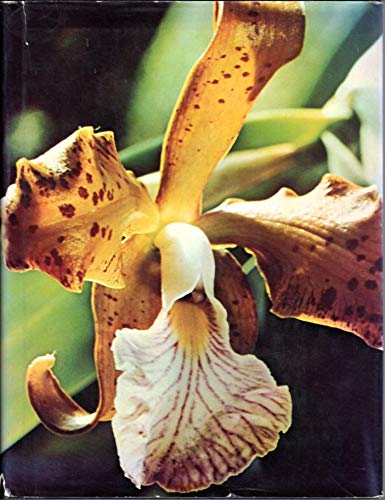 Stock image for Orchids and How to Grow Them (Home gardening handbooks) for sale by P.C. Schmidt, Bookseller