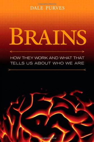 Beispielbild fr Brains : How They Seem to Work zum Verkauf von Better World Books: West