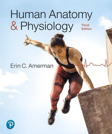 Beispielbild fr Active-Learning Workbook For Human Anatomy & Physiology zum Verkauf von GreatBookPrices