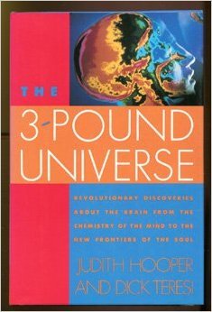Stock image for The 3 Pound Univers for sale by Blue Eagle Metaphysical Emporium