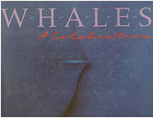 Stock image for Whales A Celebration for sale by B-Line Books