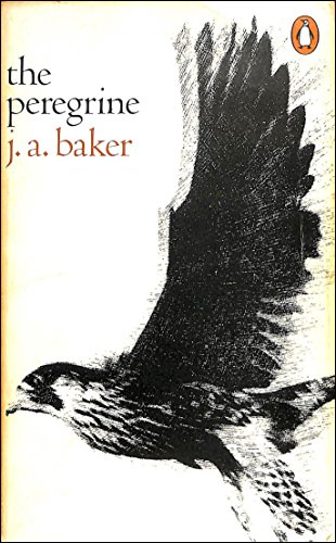 9780140030594: The Peregrine