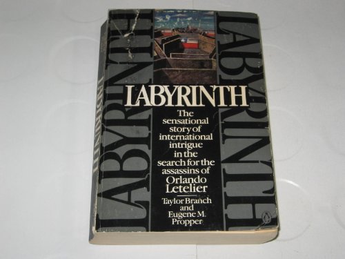 9780140066838: Labyrinth: Pursuit