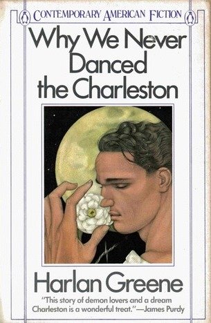 Beispielbild fr Why We Never Danced the Charleston (Contemporary American fiction) zum Verkauf von Wonder Book