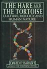 Stock image for The Hare and the Tortoise: Culture, Biology, and Human Nature for sale by Earthlight Books