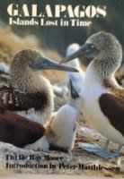 Stock image for Galapagos : Islands Lost in Time for sale by Better World Books