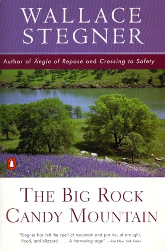 Beispielbild fr The Big Rock Candy Mountain (Contemporary American Fiction) zum Verkauf von Wonder Book