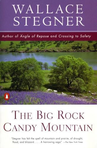 9780140139396: The Big Rock Candy Mountain (Contemporary American Fiction)