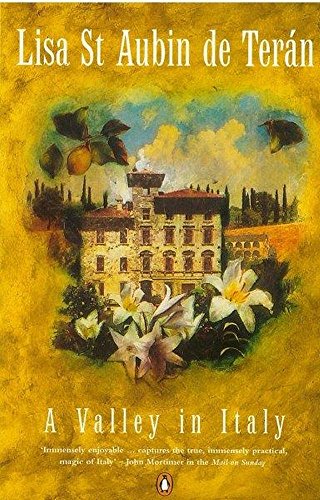 Imagen de archivo de A Valley in Italy: Confessions of a House Addict a la venta por WorldofBooks