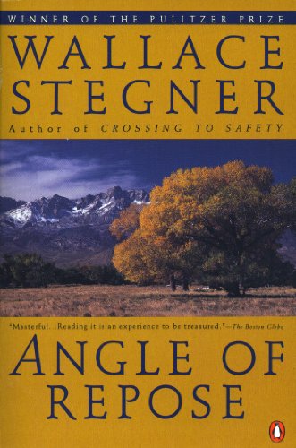 9780140169300: Angle of Repose (Contemporary American Fiction)