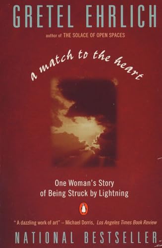 Beispielbild fr A Match to the Heart: One Woman's Story of Being Struck By Lightning zum Verkauf von Jenson Books Inc