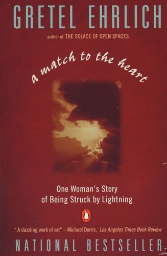 9780140179378: A Match to the Heart: One Woman's Story of Being Struck By Lightning