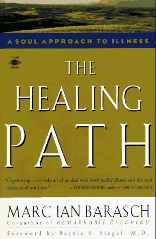 9780140194869: The Healing Path: A Soul Approach to Illness (Arkana S.)