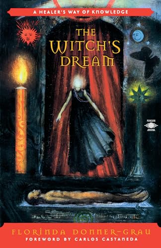 9780140195316: The Witch's Dream: A Healer's Way of Knowledge