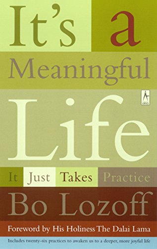 Beispielbild fr It's a Meaningful Life: It Just Takes Practice zum Verkauf von Wonder Book