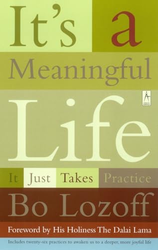 Imagen de archivo de It's a Meaningful Life: It Just Takes Practice a la venta por SecondSale