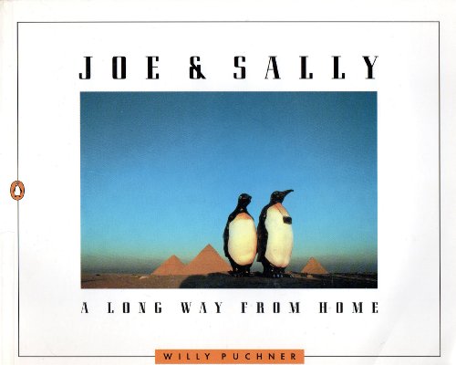 Beispielbild fr Joe and Sally: A Long Way from Home zum Verkauf von Half Price Books Inc.