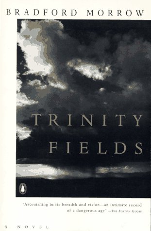 Beispielbild fr Trinity Fields zum Verkauf von Wonder Book