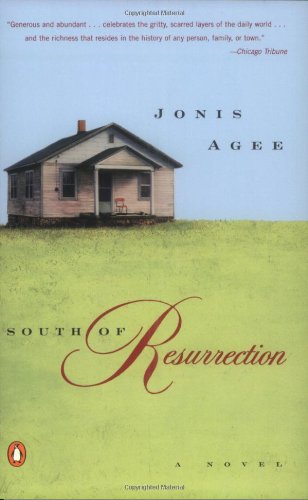 Imagen de archivo de South of Resurrection a la venta por Better World Books